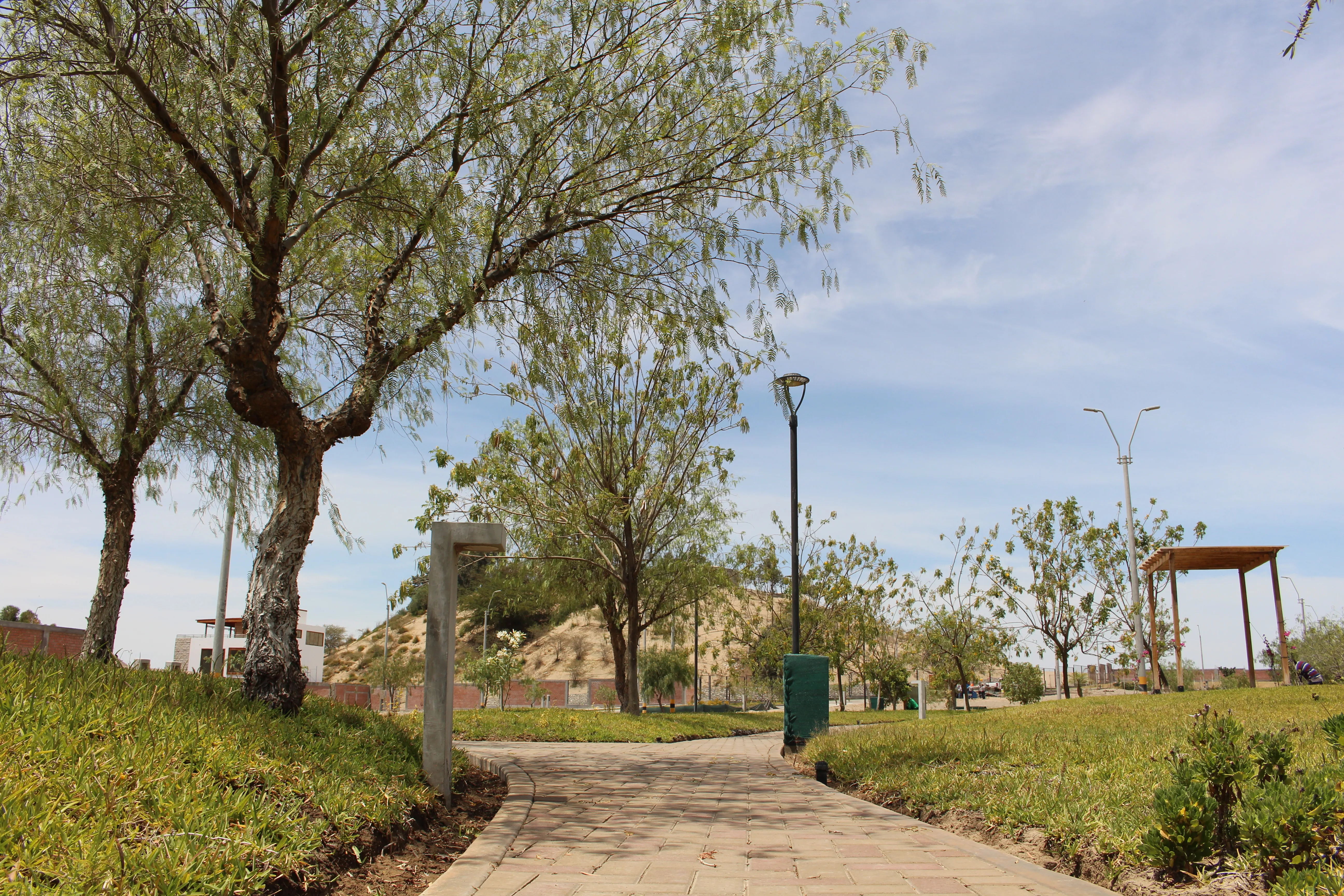 Vista del proyecto