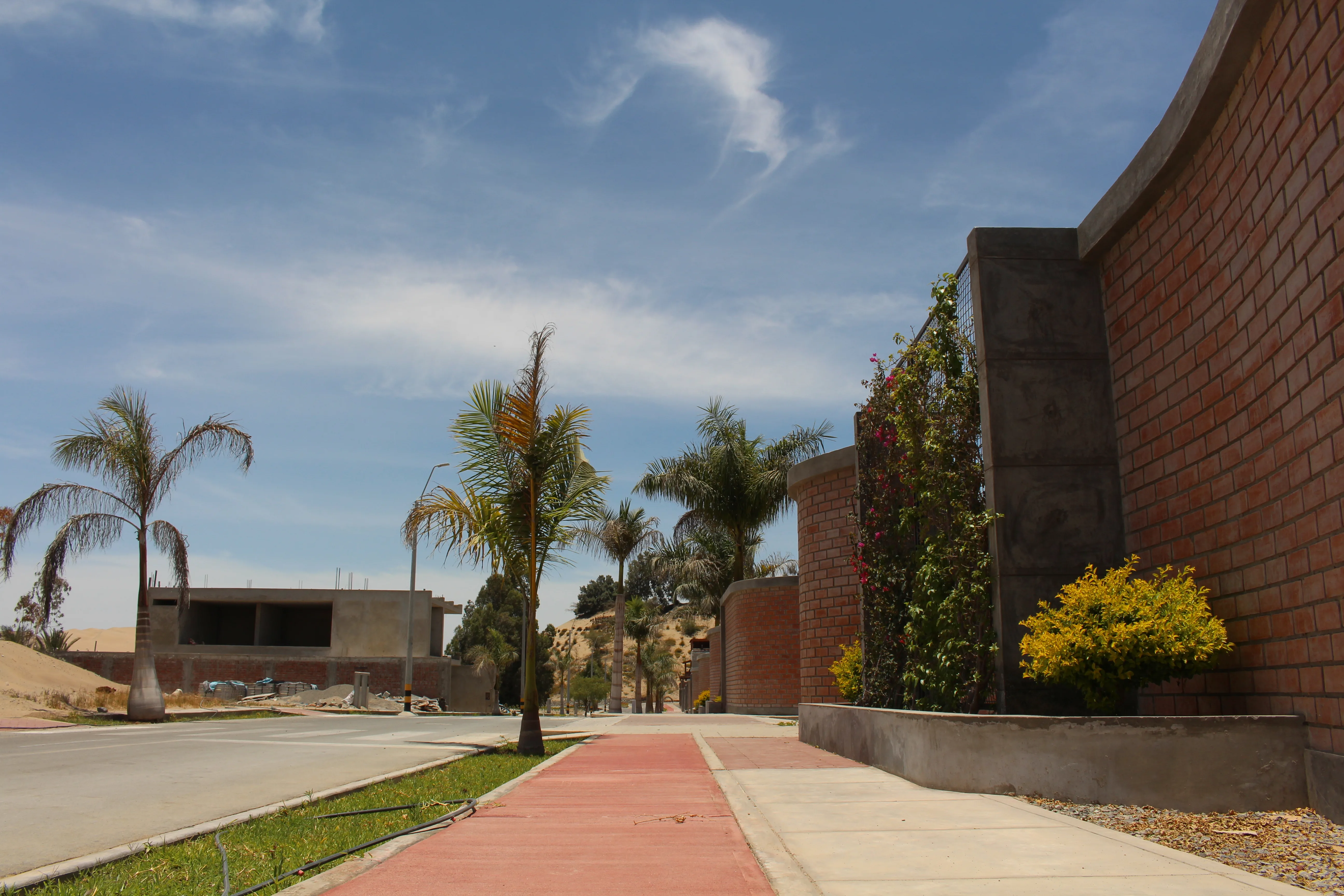 Vista del proyecto